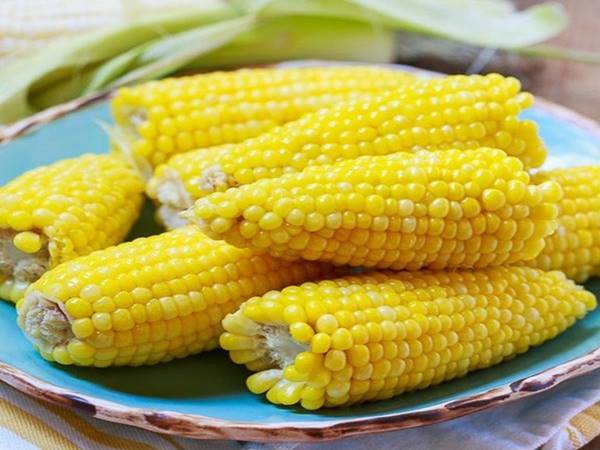 Nằm mơ thấy bắp ngô đánh con gì? Ý nghĩa giấc mơ Nằm mơ thấy bắp ngô đánh con gì? Ý nghĩa giấc mơ