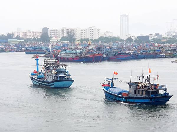 Nằm mơ thấy thuyền đánh con gì có ý nghĩa gì đặc biệt Nằm mơ thấy thuyền đánh con gì có ý nghĩa gì đặc biệt