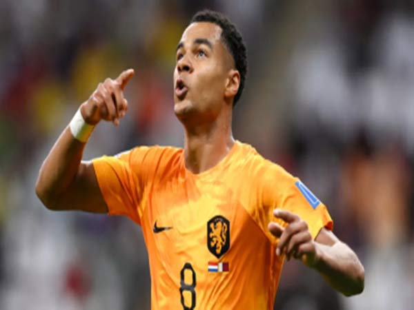 Dự Đoán Kèo World Cup 2022: Đội Nào Sẽ Vào Chung Kết? Dự Đoán Kèo World Cup 2022: Đội Nào Sẽ Vào Chung Kết?