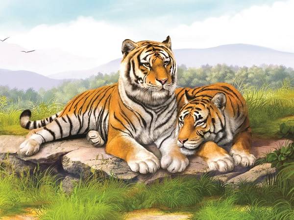 Con hổ số mấy – Ý nghĩa điềm báo giấc mơ thấy con hổ Con hổ số mấy – Ý nghĩa điềm báo giấc mơ thấy con hổ