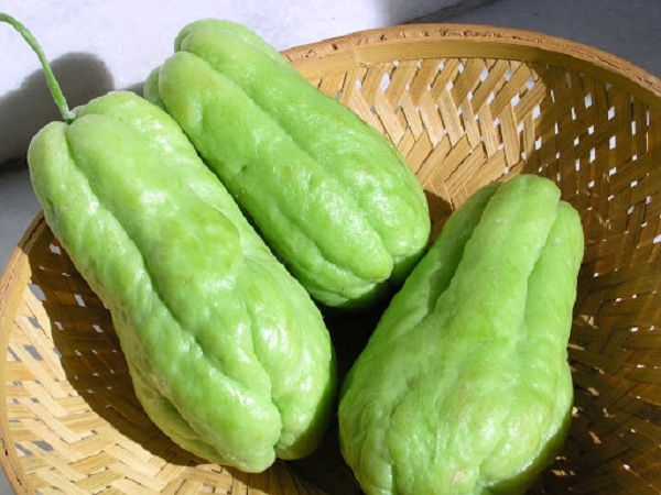 Nằm mơ thấy quả su su có ý nghĩa điềm báo gì, đánh con gì Nằm mơ thấy quả su su có ý nghĩa điềm báo gì, đánh con gì