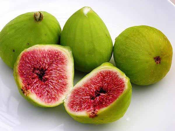 Nằm mơ thấy quả sung có điềm báo gì, đánh con gì ăn chắc Nằm mơ thấy quả sung có điềm báo gì, đánh con gì ăn chắc