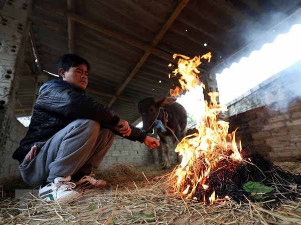 Nằm mơ thấy đốt lửa đánh con gì may mắn có điềm báo gì Nằm mơ thấy đốt lửa đánh con gì may mắn có điềm báo gì